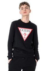 Bluza AUDLEY TRIANGLE LOGO BLACK GUESS